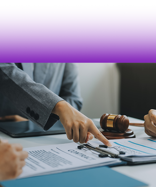 Asesoramiento Legal Gubernamental